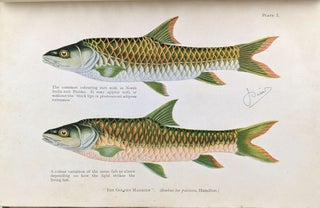 Circumventing the Mahseer and Other Sporting Fish in India and Burma