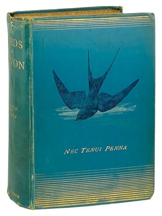 Item #12875 The Birds of Devon. W S. M. Murray, Murray A. Mathew