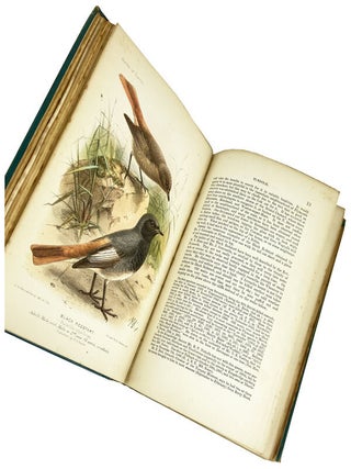 The Birds of Devon