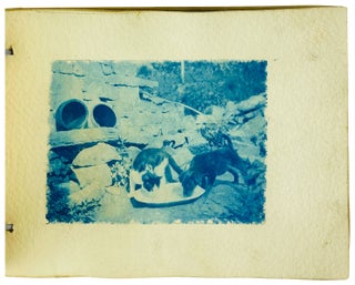 Cyanotype Photo Album of a Rural White Family and "Aunt Liza," the Black Cook
