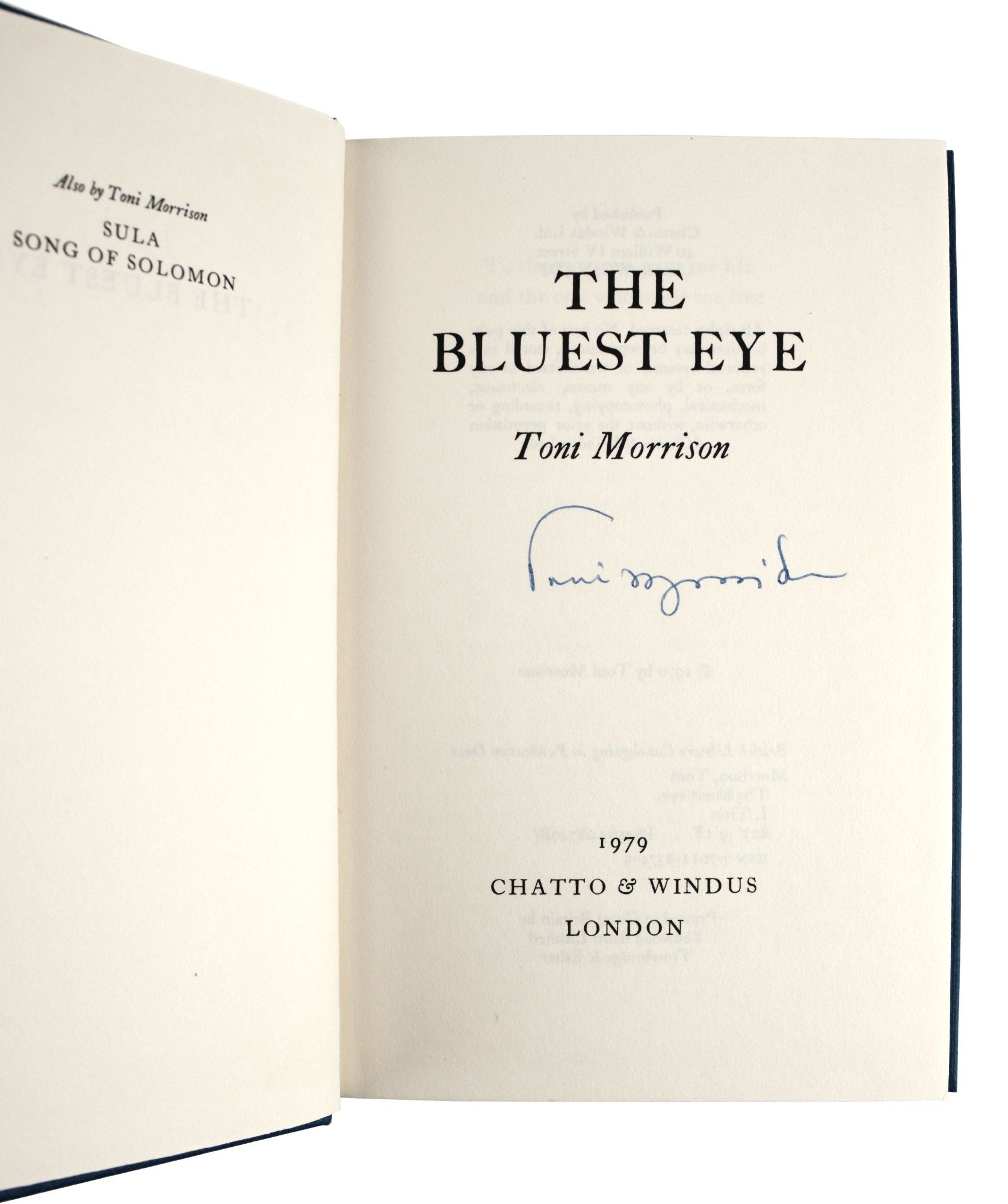 the bluest eye book cover