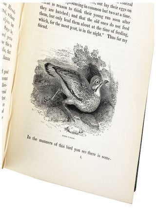The Natural History and Antiquities of Selborne