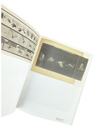 New Realities: Photography in the 19th Century