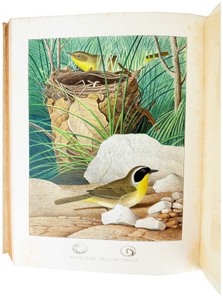 Nests and Eggs of Birds of the United States