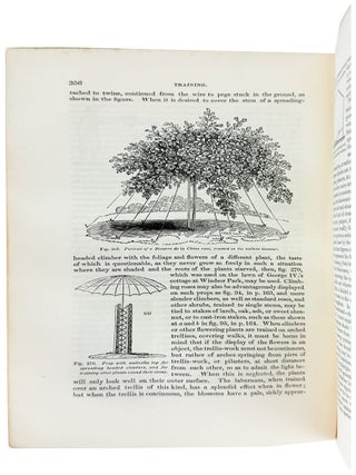 The Suburban Horticulturist; or, an Attempt to Teach the Science and Practice of the Culture and Management of the Kitchen, Fruit, & Foraging Garden to those who have had no previous knowledge or practice in these departments of gardening
