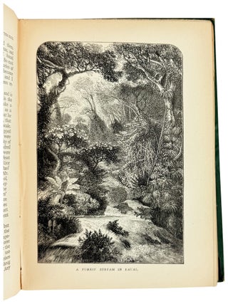 The Hawaiian Archipelago. Six months among the palm groves, coral reefs, and volcanoes of the Sandwich Islands