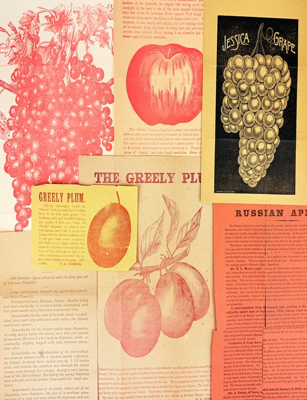 Item #32600 Collection of Seven Pieces of Promotional Nursery Literature. O K. Gerrish, agent.