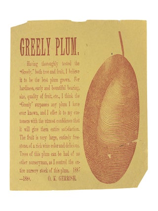 Collection of Seven Pieces of Promotional Nursery Literature