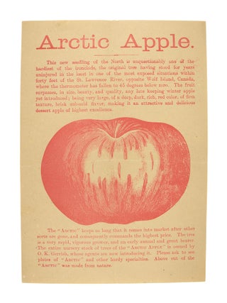 Collection of Seven Pieces of Promotional Nursery Literature