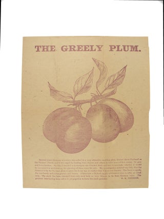 Collection of Seven Pieces of Promotional Nursery Literature