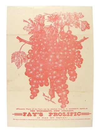 Collection of Seven Pieces of Promotional Nursery Literature