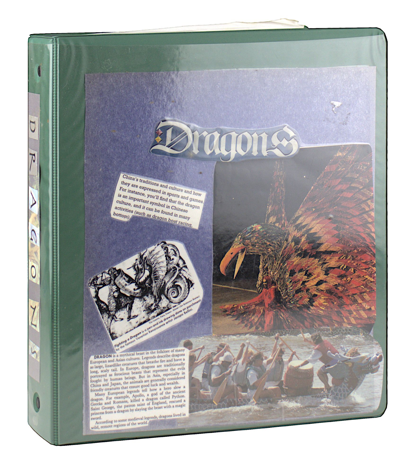 Dragons Dragon-Themed Binder Compiled by Godmother for grieving