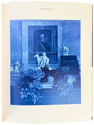 McDermott & McGough: An Experience of Amusing Chemistry. Photographs 1990-1890