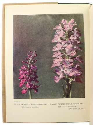 Our Wild Orchids: Trails and Portraits