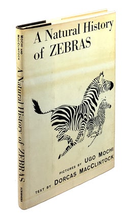 Item #4249 A Natural History of Zebras. Dorcas MacClintock