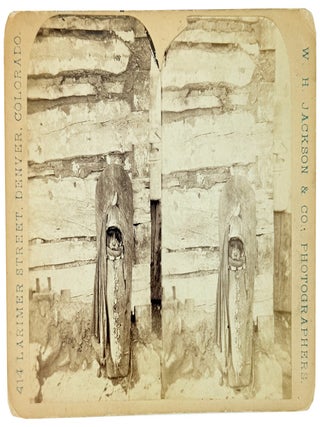 Collection of Five Stereoviews by W.H. Jackson & Co., Photographers