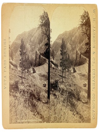 Collection of Five Stereoviews by W.H. Jackson & Co., Photographers