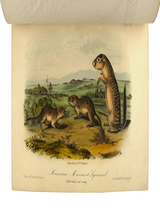 The Quadrupeds of North America [Three Volume Set]