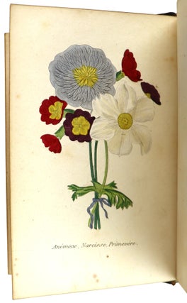 Embleme des Fleurs ou Parterre de Flore