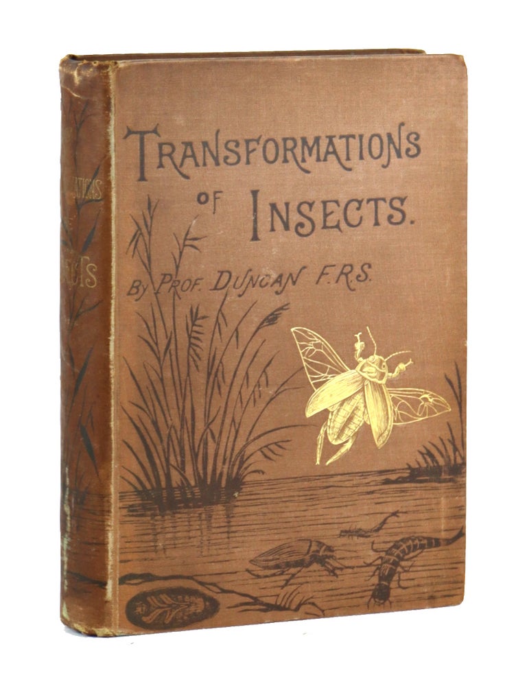 Item #49097 The Transformations (or Metamorphoses) of Insects. P. Martin Duncan.