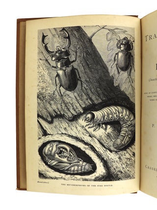 The Transformations (or Metamorphoses) of Insects