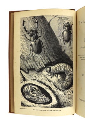 The Transformations (or Metamorphoses) of Insects