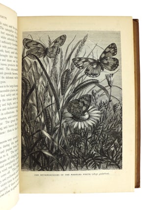 The Transformations (or Metamorphoses) of Insects